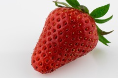 2020-Fraise-15-sur-304-16