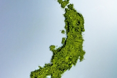 Photographe culinaire Gironde-